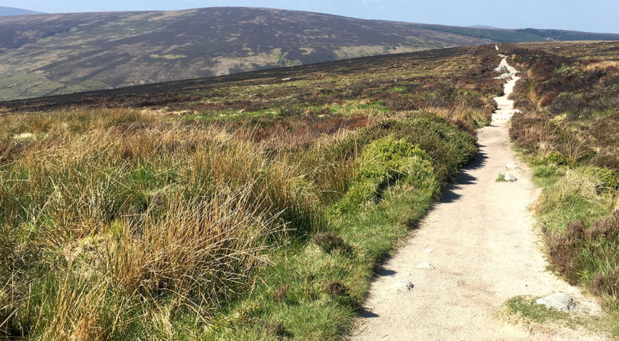 The Dublin Mountain Way | Cp Adventure